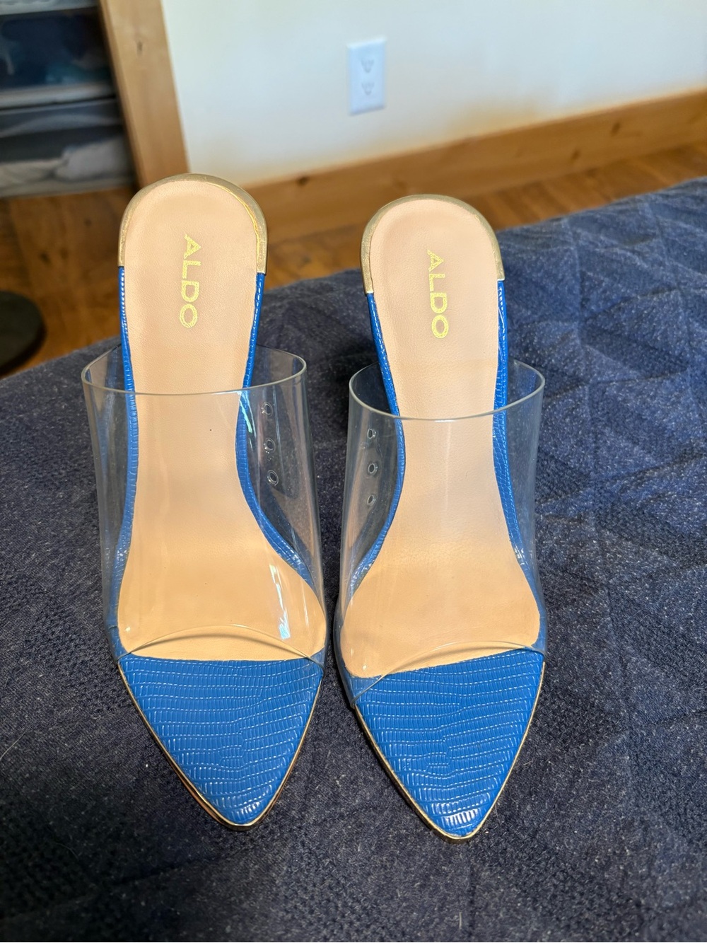 ALDO Blue Pointed-Toe Clear-Sided Mules